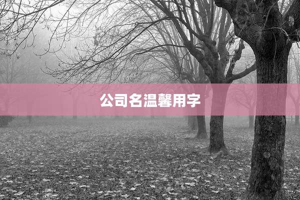 公司名温馨用字