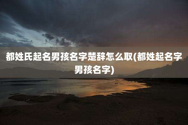 都姓氏起名男孩名字楚辞怎么取(都姓起名字男孩名字)