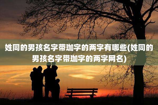 姓同的男孩名字带珈字的两字有哪些(姓同的男孩名字带珈字的两字网名)