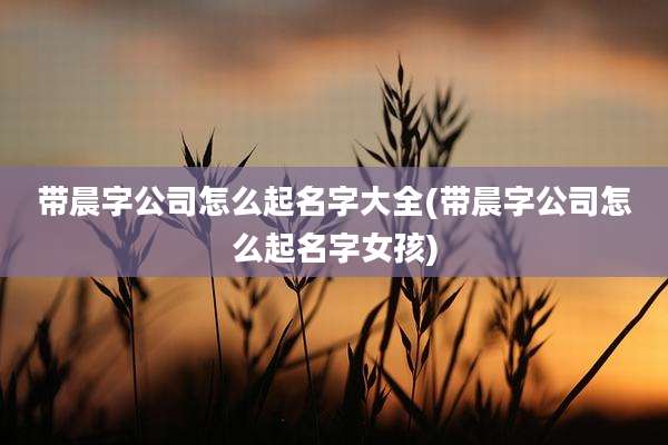 带晨字公司怎么起名字大全(带晨字公司怎么起名字女孩)