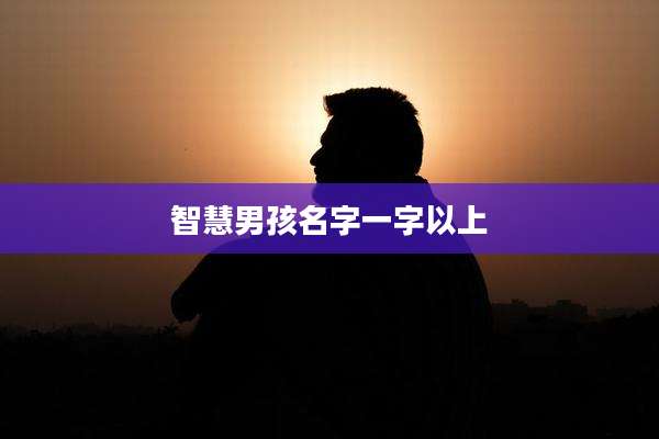 智慧男孩名字一字以上