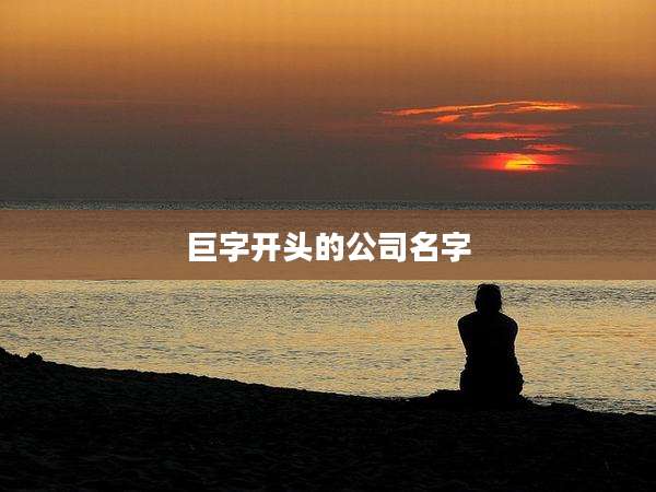 巨字开头的公司名字
