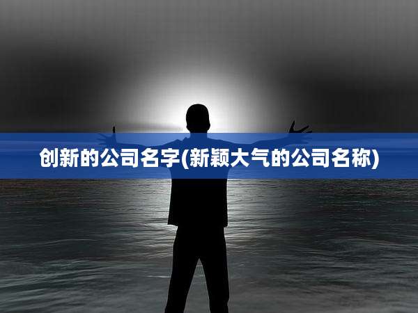 创新的公司名字(新颖大气的公司名称)