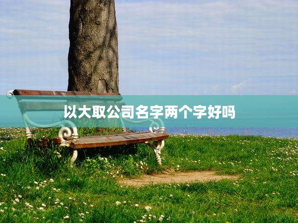 以大取公司名字两个字好吗