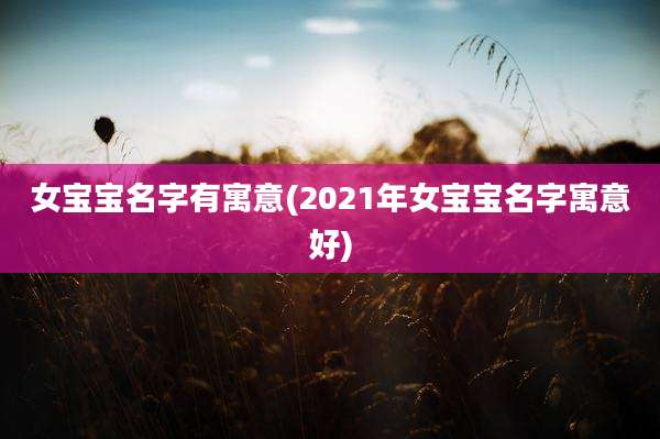 女宝宝名字有寓意(2021年女宝宝名字寓意好)