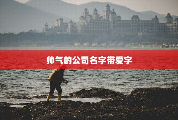 帅气的公司名字带爱字