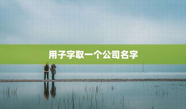 用子字取一个公司名字