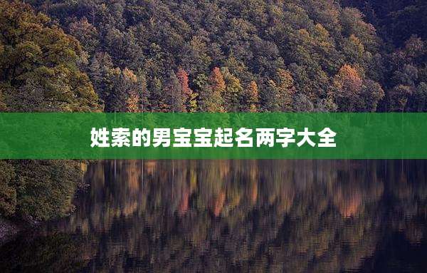 姓索的男宝宝起名两字大全