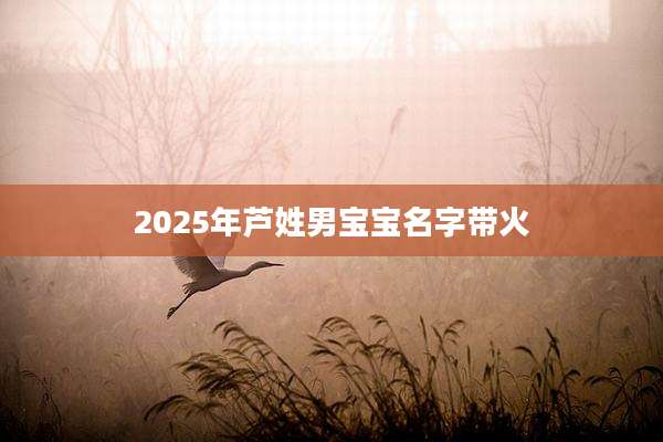 2025年芦姓男宝宝名字带火