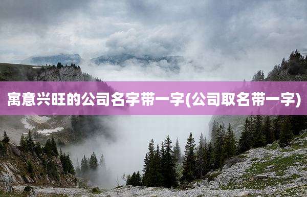 寓意兴旺的公司名字带一字(公司取名带一字)
