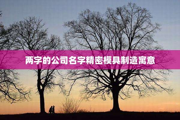 两字的公司名字精密模具制造寓意
