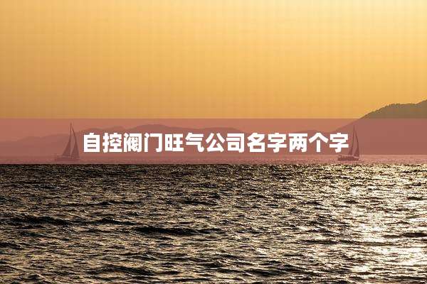自控阀门旺气公司名字两个字
