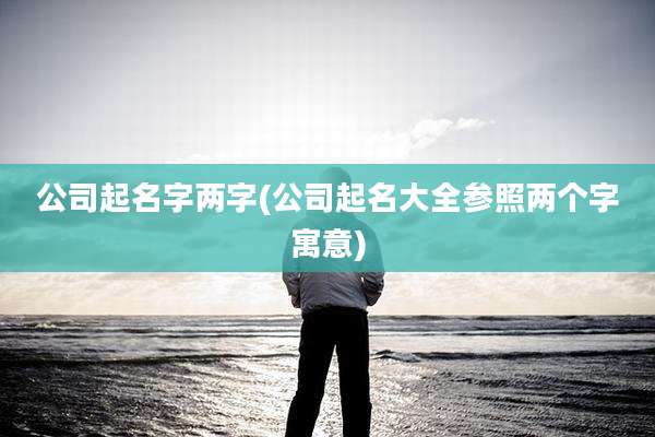 公司起名字两字(公司起名大全参照两个字寓意)