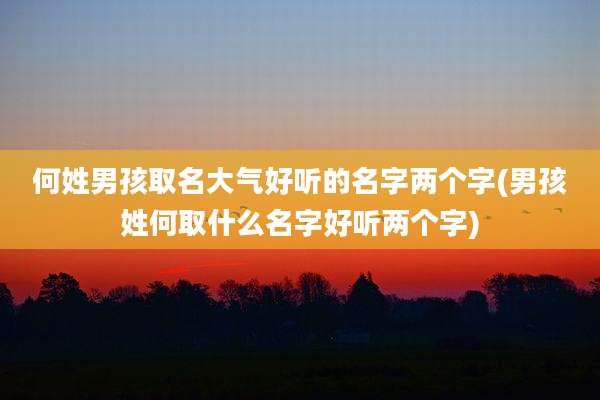 何姓男孩取名大气好听的名字两个字(男孩姓何取什么名字好听两个字)