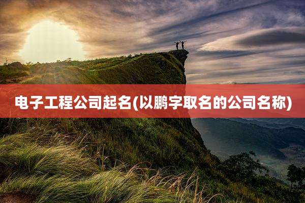 电子工程公司起名(以鹏字取名的公司名称)