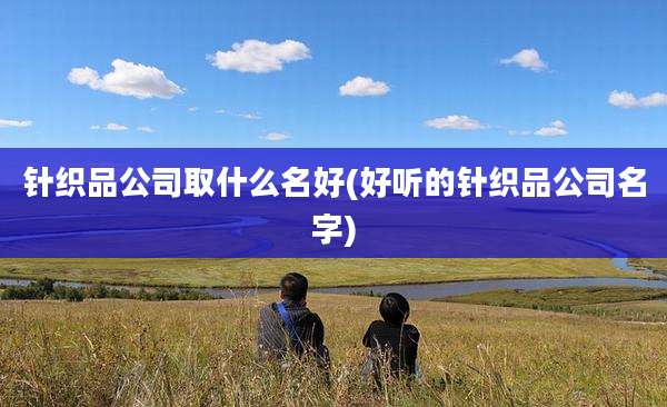 针织品公司取什么名好(好听的针织品公司名字)