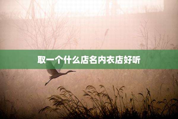 取一个什么店名内衣店好听