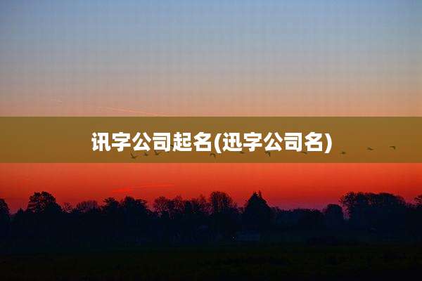 讯字公司起名(迅字公司名)