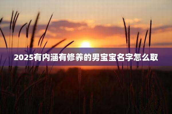 2025有内涵有修养的男宝宝名字怎么取