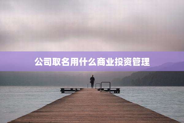 公司取名用什么商业投资管理