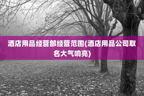 酒店用品经营部经营范围(酒店用品公司取名大气响亮)