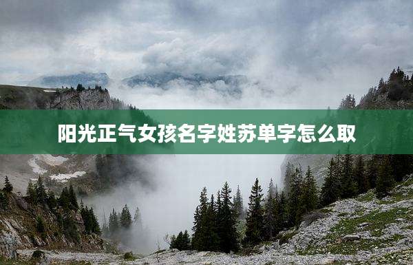 阳光正气女孩名字姓苏单字怎么取