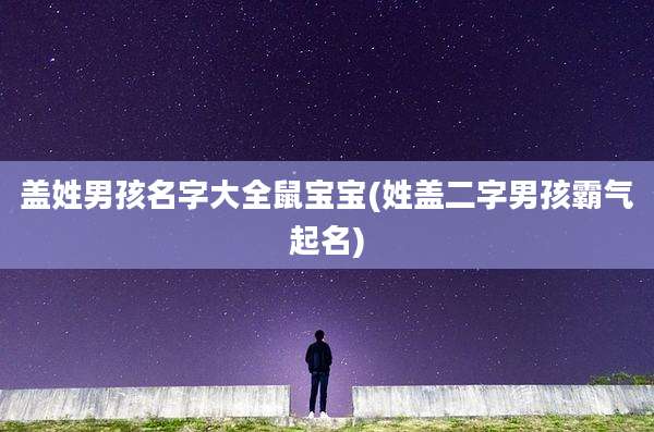 盖姓男孩名字大全鼠宝宝(姓盖二字男孩霸气起名)