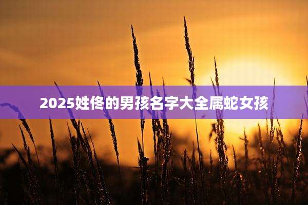 2025姓佟的男孩名字大全属蛇女孩