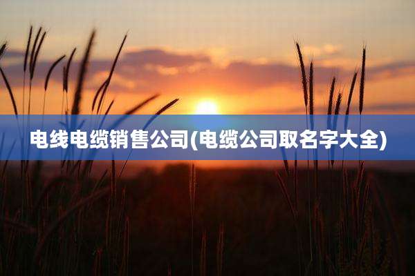 电线电缆销售公司(电缆公司取名字大全)
