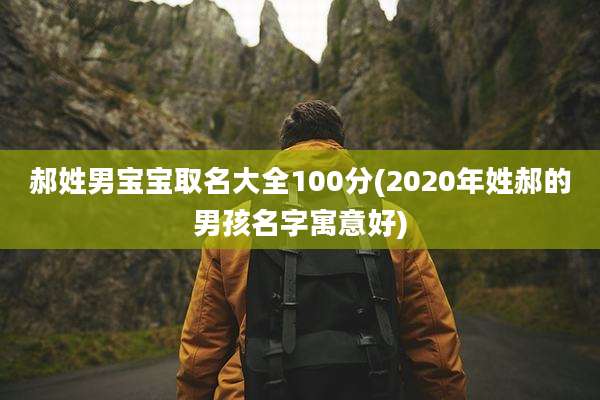 郝姓男宝宝取名大全100分(2020年姓郝的男孩名字寓意好)