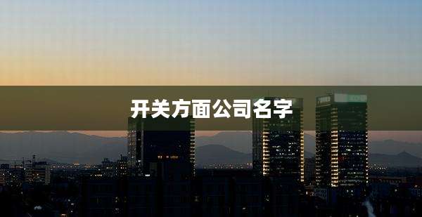 开关方面公司名字