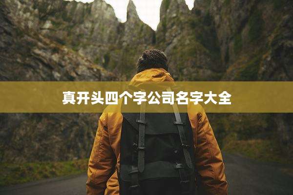 真开头四个字公司名字大全