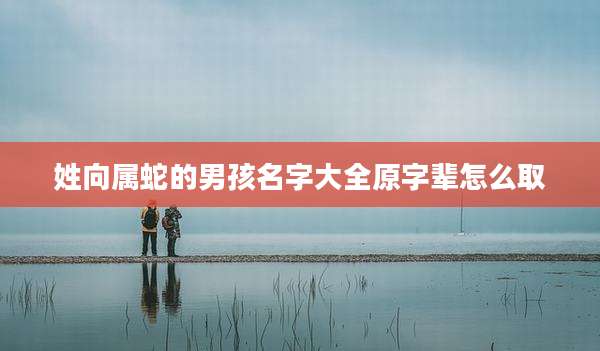 姓向属蛇的男孩名字大全原字辈怎么取