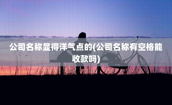 公司名称显得洋气点的(公司名称有空格能收款吗)