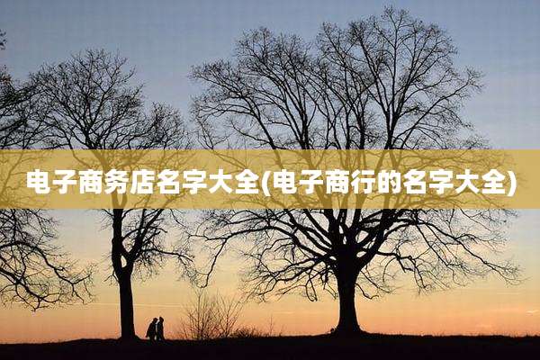 电子商务店名字大全(电子商行的名字大全)