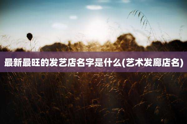 最新最旺的发艺店名字是什么(艺术发廊店名)