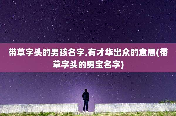 带草字头的男孩名字,有才华出众的意思(带草字头的男宝名字)