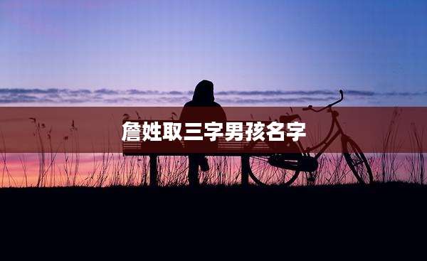 詹姓取三字男孩名字