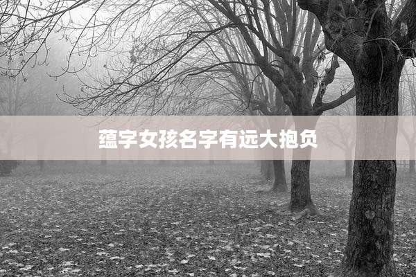 蕴字女孩名字有远大抱负