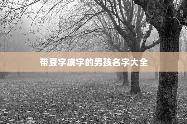 带豆字底字的男孩名字大全