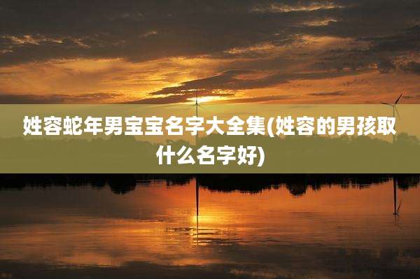 姓容蛇年男宝宝名字大全集(姓容的男孩取什么名字好)