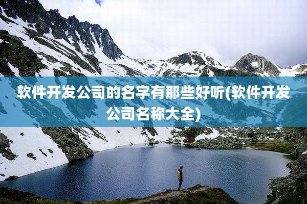 软件开发公司的名字有那些好听(软件开发公司名称大全)