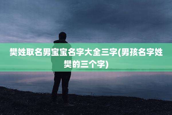 樊姓取名男宝宝名字大全三字(男孩名字姓樊的三个字)