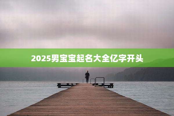 2025男宝宝起名大全亿字开头