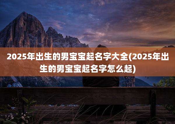 2025年出生的男宝宝起名字大全(2025年出生的男宝宝起名字怎么起)