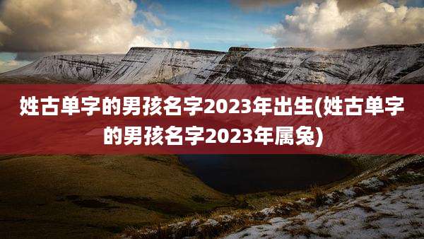 姓古单字的男孩名字2023年出生(姓古单字的男孩名字2023年属兔)