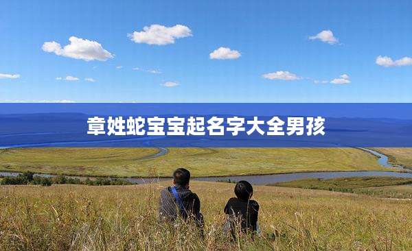 章姓蛇宝宝起名字大全男孩