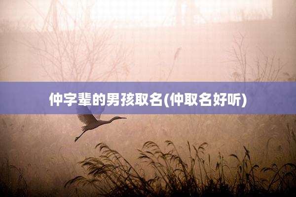 仲字辈的男孩取名(仲取名好听)