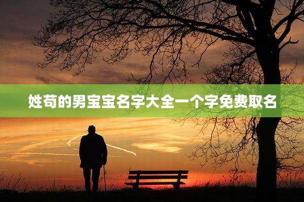 姓苟的男宝宝名字大全一个字免费取名