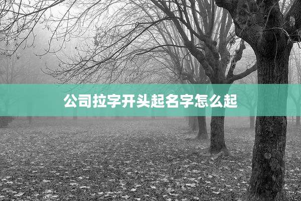 公司拉字开头起名字怎么起